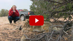 Back to School on Coyotes - Zero to 60