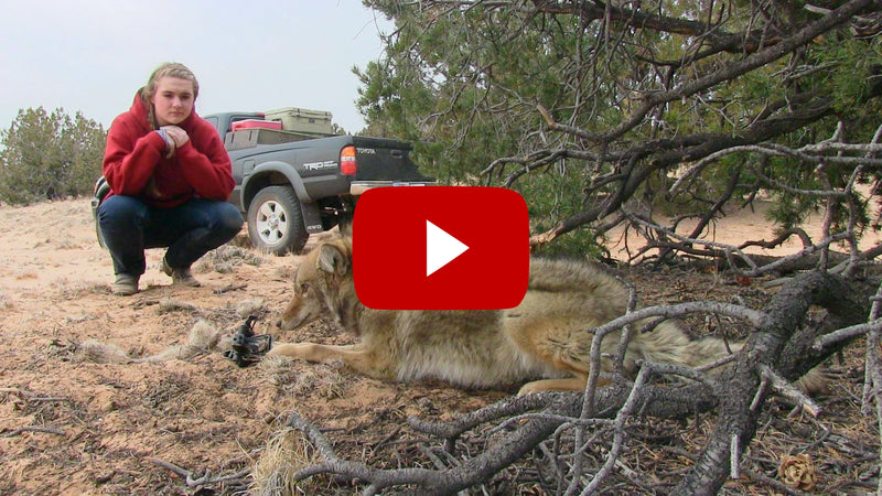 Back to School on Coyotes - Zero to 60