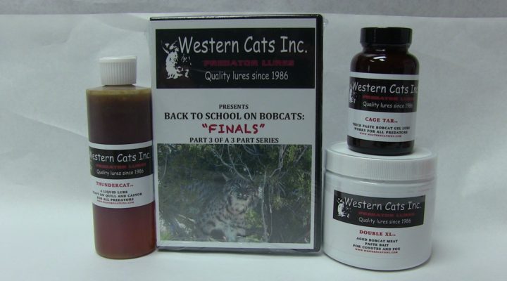 Western cats New 2016 Product
