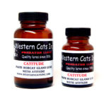 Western Cats Catitude Lure