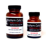 Western Cats Redrum Lure