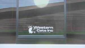 Western Cats Window Sticker